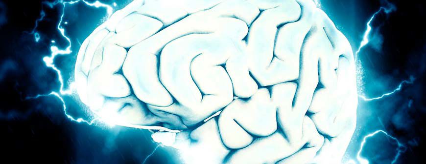 NEUROCIÊNCIAS EAD