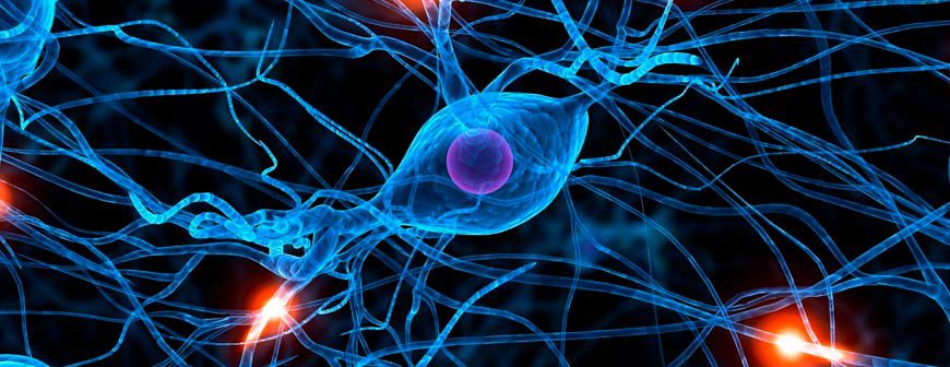 NEUROAPRENDIZAGEM EAD